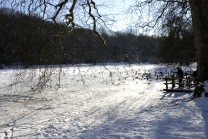 Winter im Park (Bild: Reinald Döring)